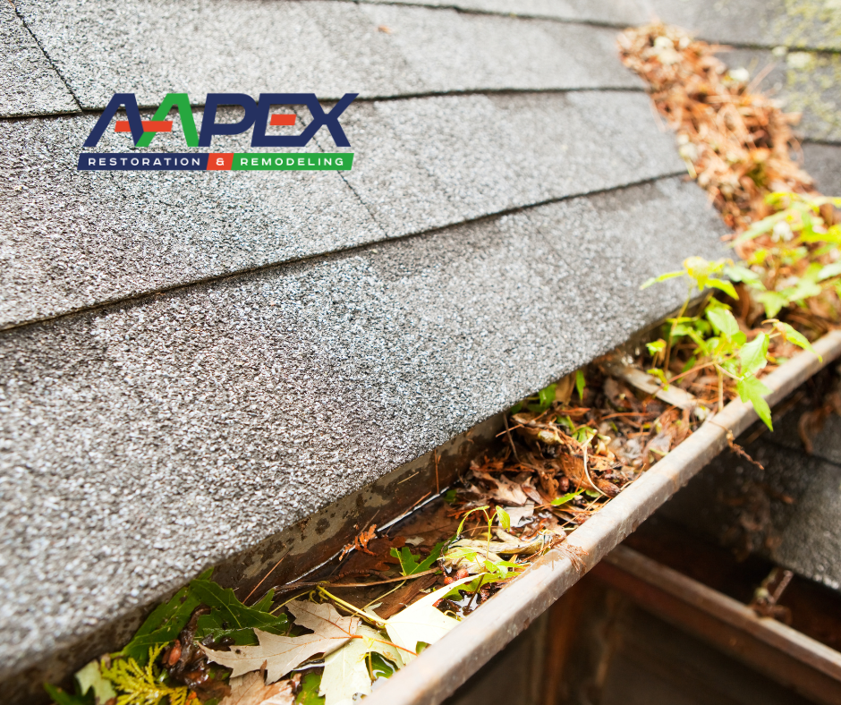 Gutter full of debris