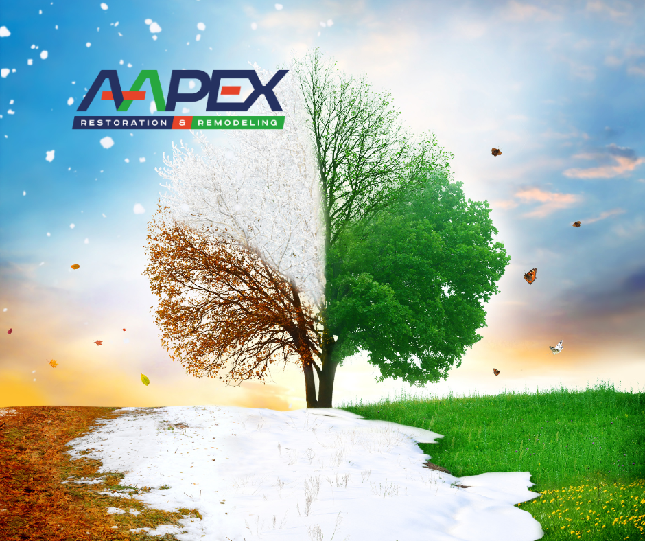 An image of a tree showing the 4 seasons.