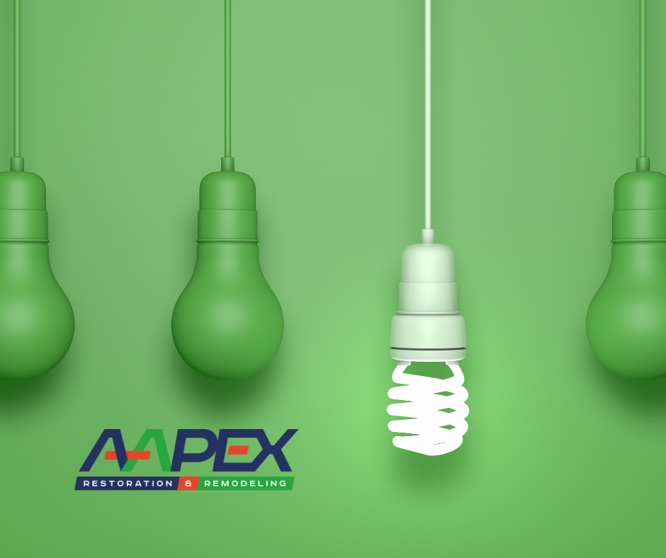 energy efficient light bulbs
